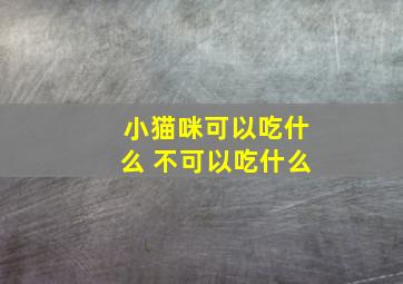 小猫咪可以吃什么 不可以吃什么